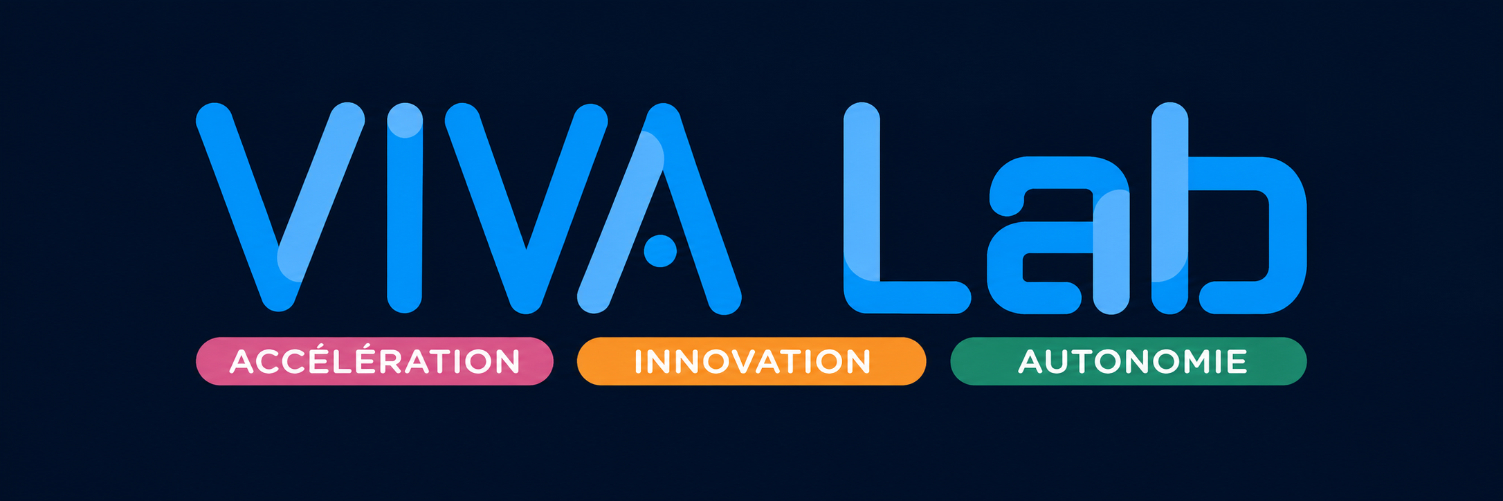 VIVA Lab